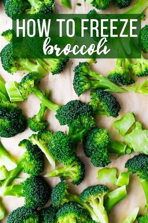 How to freeze fresh broccoli. Things To Know About How to freeze fresh broccoli. 